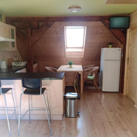 Apartments Skiareal U Vodarny Bedrichov يانوف نادنيسو المظهر الخارجي الصورة