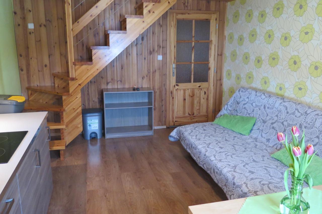 Apartments Skiareal U Vodarny Bedrichov يانوف نادنيسو المظهر الخارجي الصورة