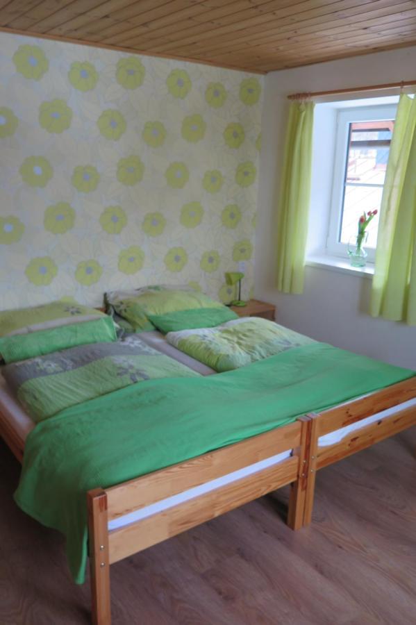 Apartments Skiareal U Vodarny Bedrichov يانوف نادنيسو المظهر الخارجي الصورة