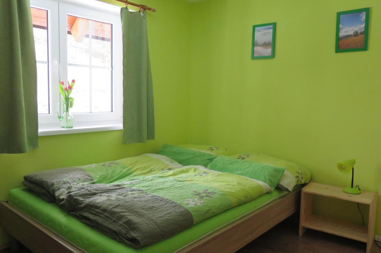 Apartments Skiareal U Vodarny Bedrichov يانوف نادنيسو المظهر الخارجي الصورة